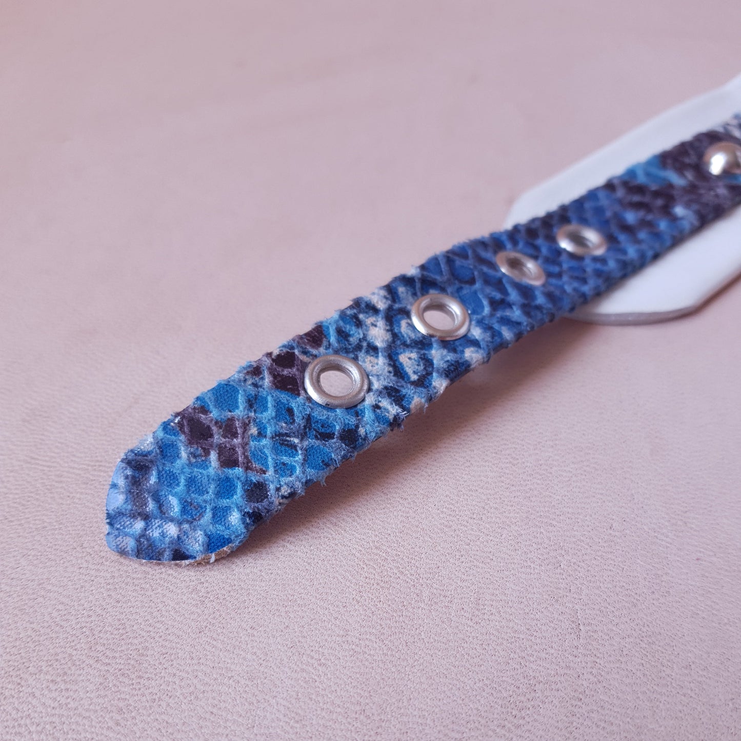 Collier en cuir - 35 cm - bleu & blanc