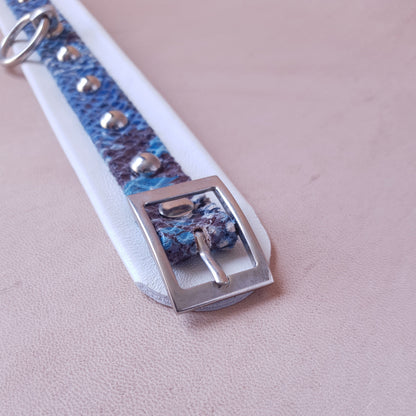 Collier en cuir - 35 cm - bleu & blanc